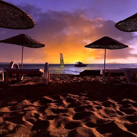 Hotel Cicek Evler Tatil Koeyue Armutlu Zewnętrze zdjęcie
