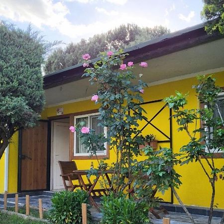 Hotel Cicek Evler Tatil Koeyue Armutlu Zewnętrze zdjęcie