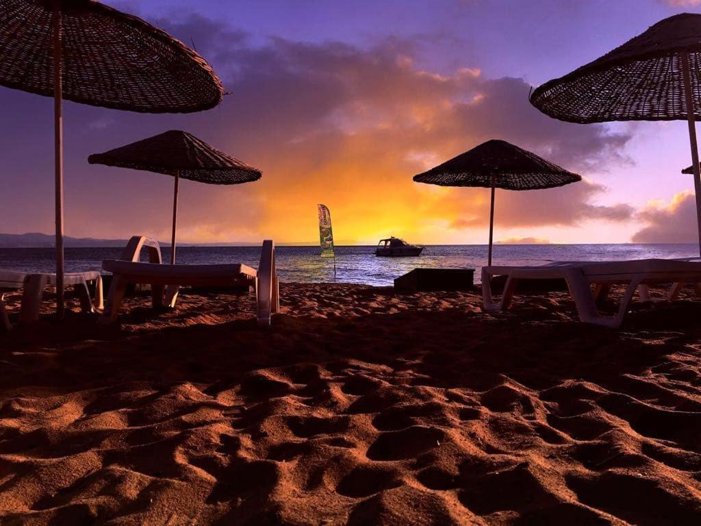 Hotel Cicek Evler Tatil Koeyue Armutlu Zewnętrze zdjęcie